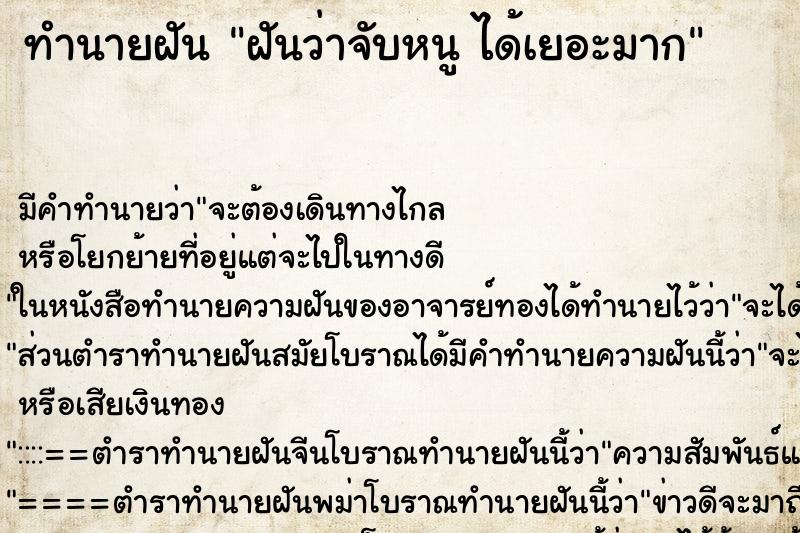 ทำนายฝัน ฝันว่าจับหนู ได้เยอะมาก ทำนายฝัน ฝันว่าจับหนู ได้เยอะมาก